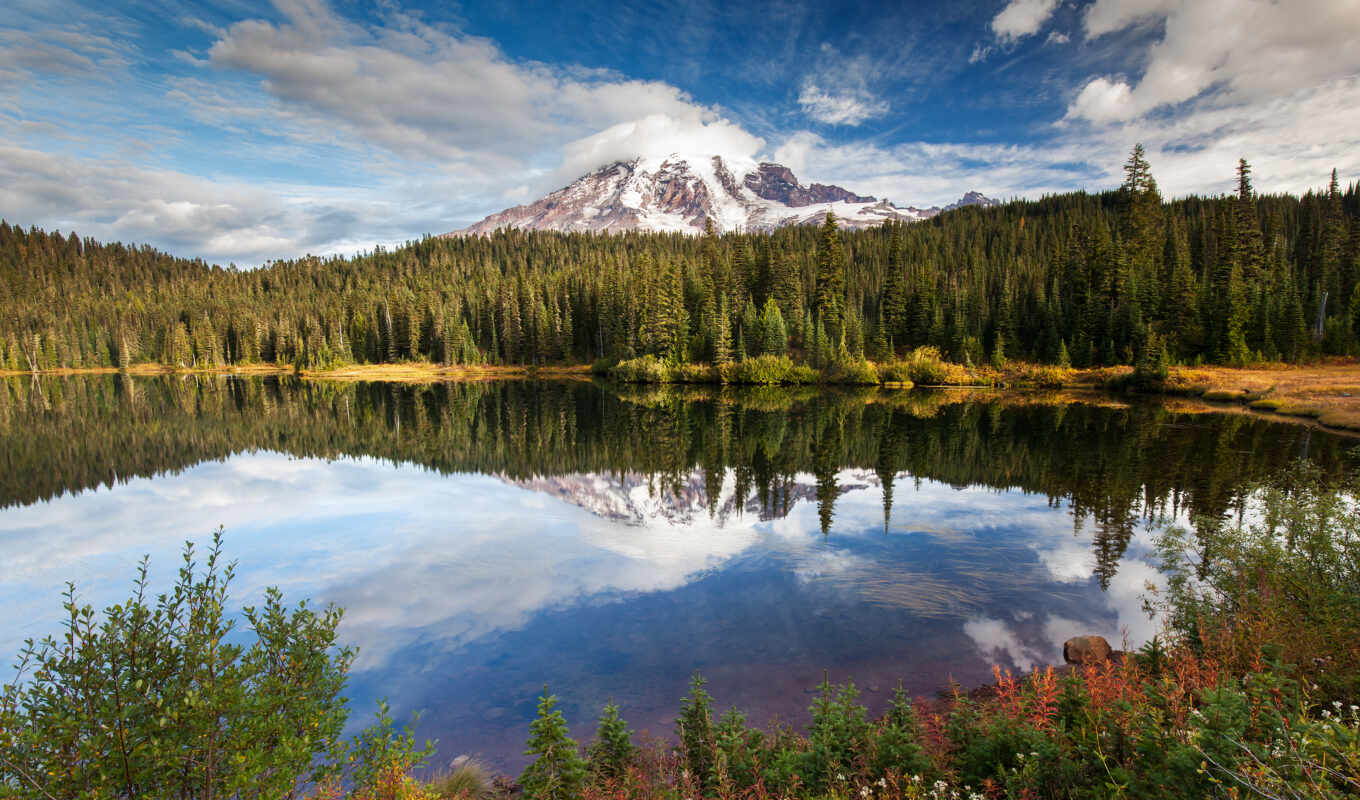lake, forest, mountain, trees, reflection, panorama, product