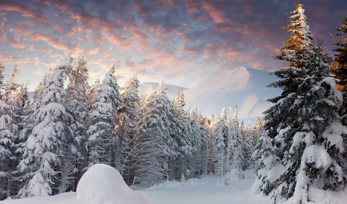 природа, снег, winter, лес, лесу, хвойный, зимы, зимой, заснеженый