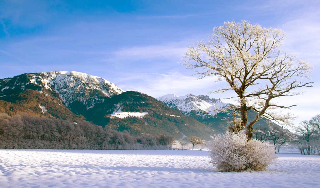 пейзажи -, new, снег, winter, landscape, год, trees, зимние, favourite, горы