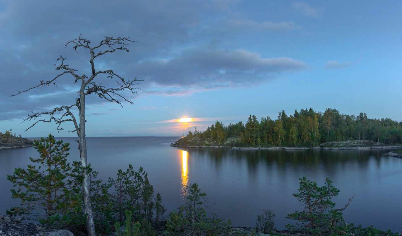 lake, tree, night, Russia, karelia, fore, Ladoga