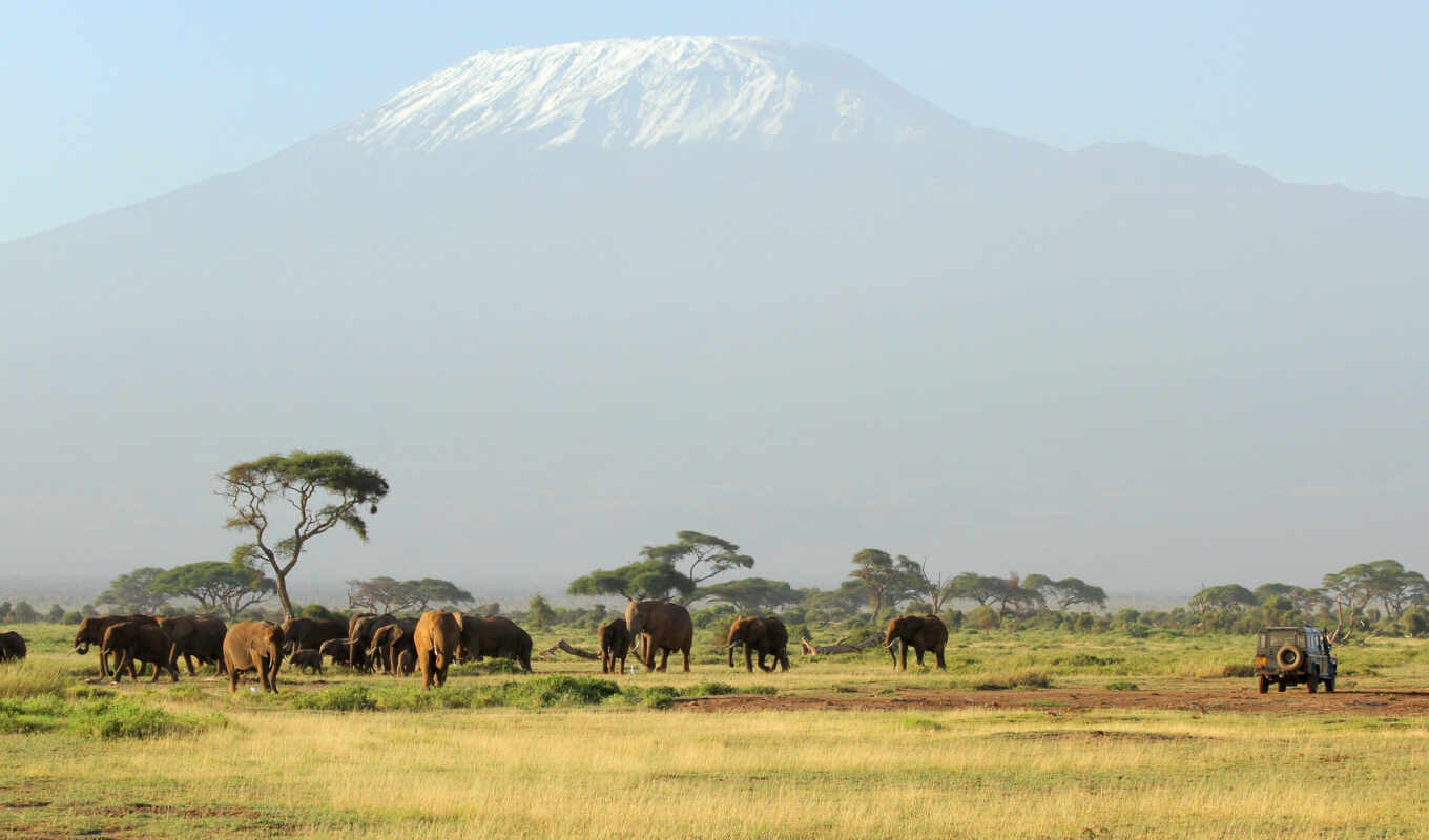 mountain, elephant, Africa