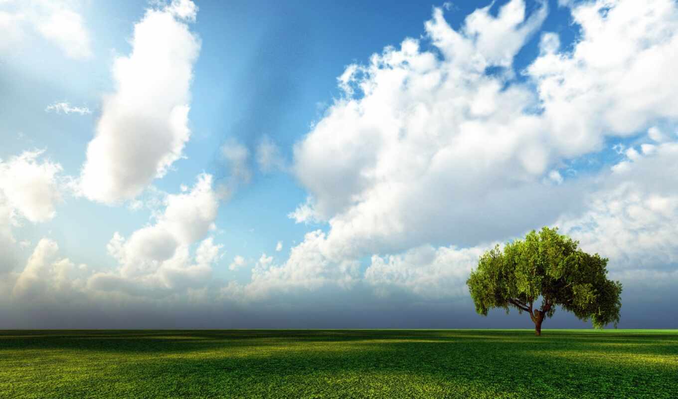 nature, sky, large format, tree, field, wars, horizon, cloud, screensaver