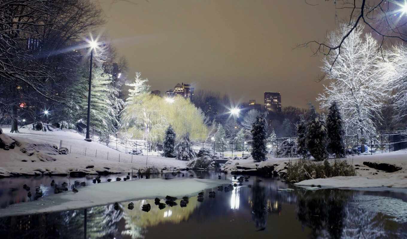 широкоформатные, город, снег, красивые, winter, park, trees, зимние, зимы