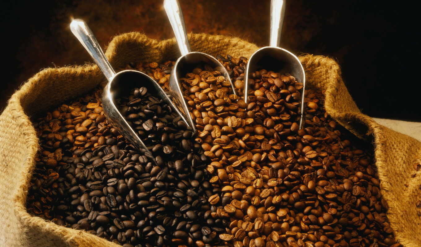 coffee, зерна, история, цена, зерен, кофейных, мамочка, обжарка, обжарки