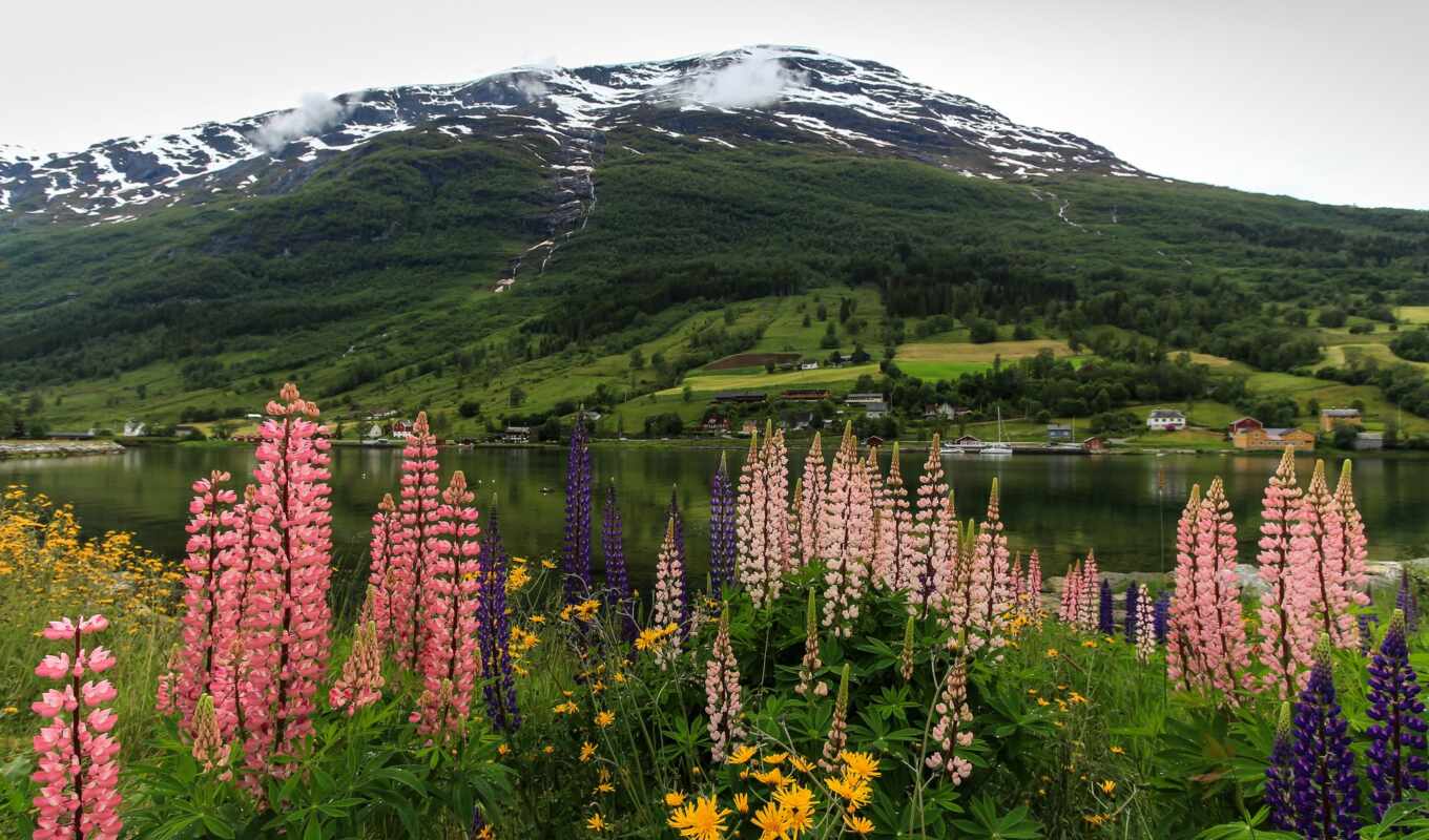 lake, nature, Norway