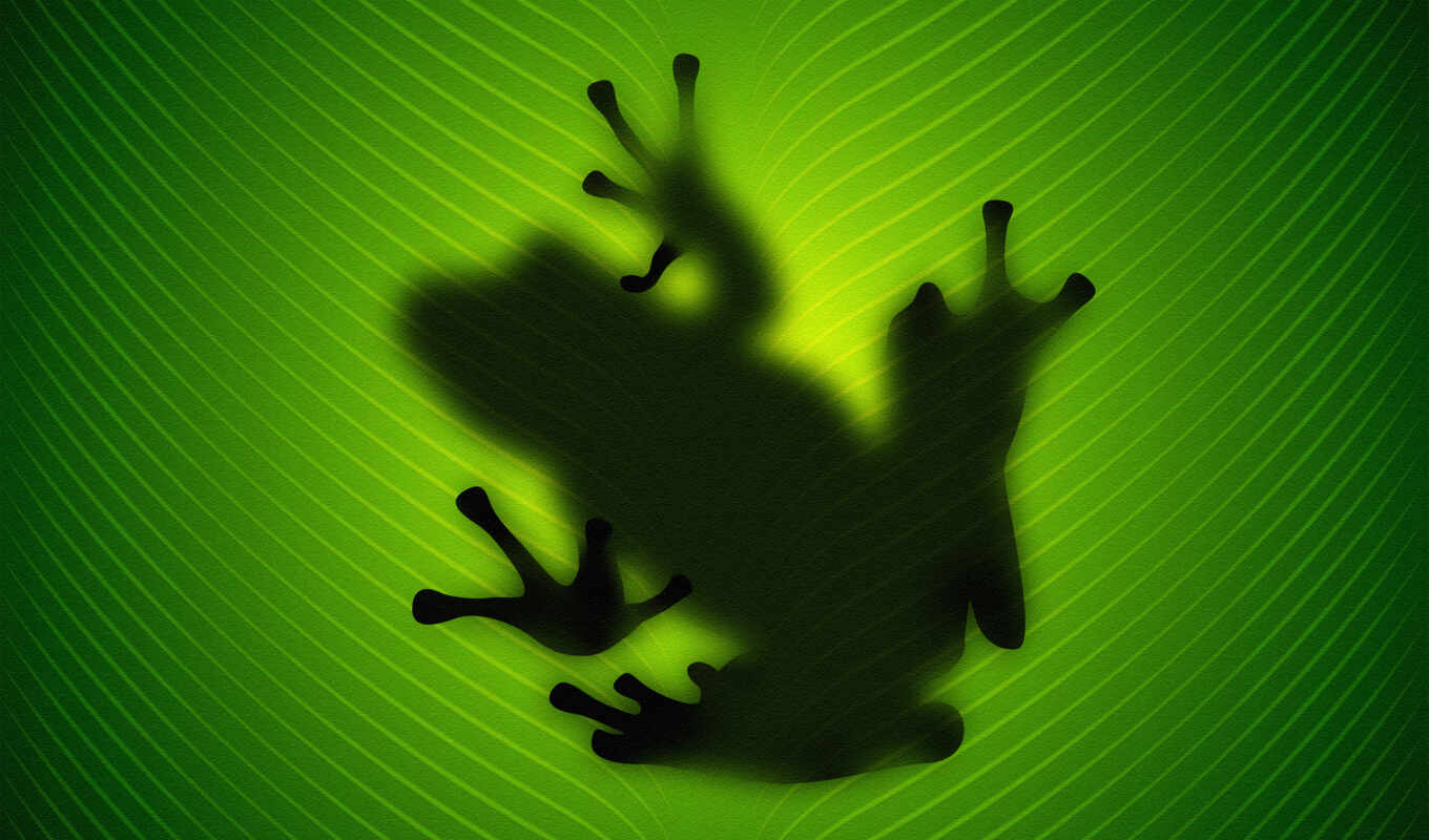 nature, sheet, green, frog, a shadow, through, frogs, ♪