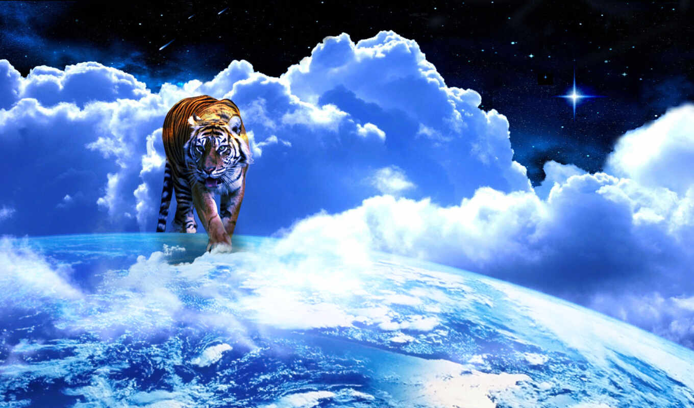 nature, sky, face, space, one, tiger, cold, temperature