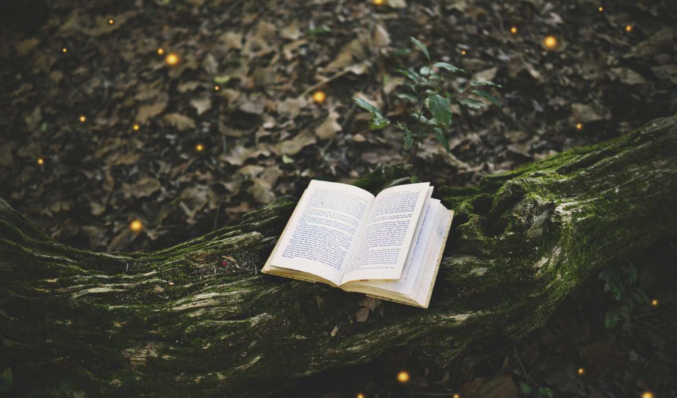 книга, дерево, мох, fore