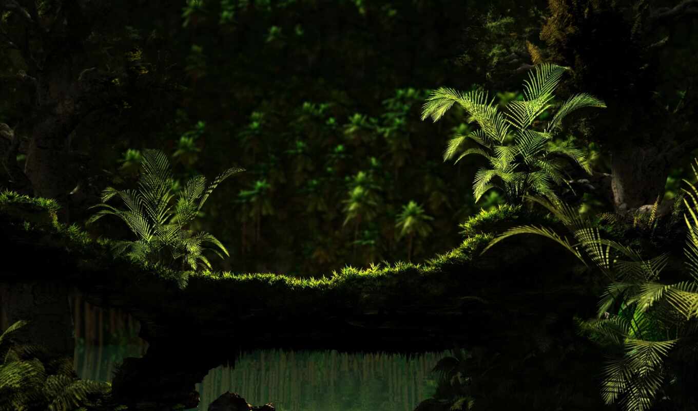 природа, jungle, зелёный, water, красивые, лес, landscape, папоротник, tropics