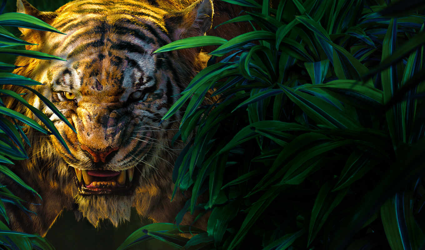 jungle, картинка, тигр, ухмылка, плакат