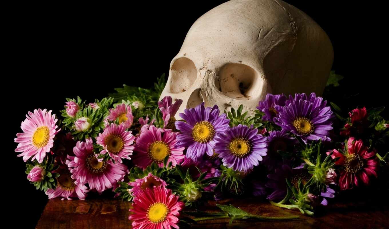 цветы, череп