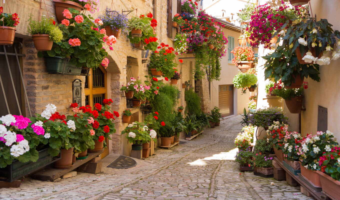 nature, desktop, flowers, street, flowers, flowerpot, greece, mountains