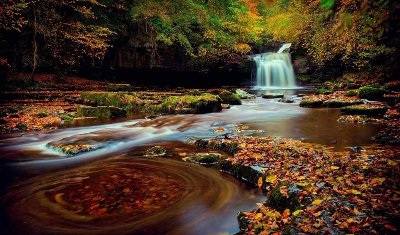 iphone, forest, autumn, England, foliage, waterfall, northern, yorkshire