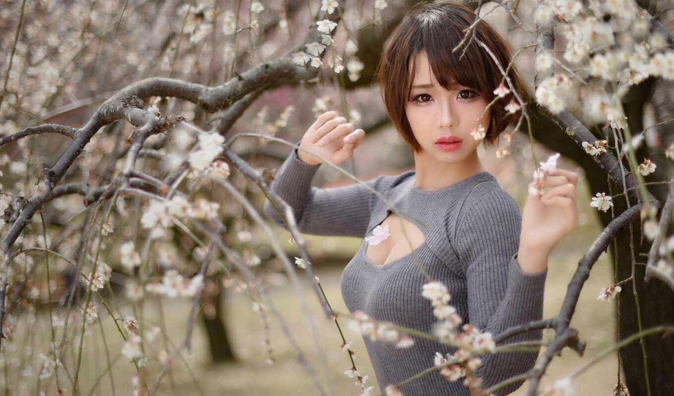 girl, tree, anime, petals, hair, see, cherry, spring