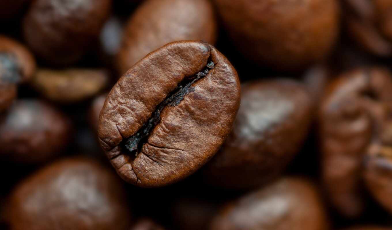coffee, цена, plan, seed, consumer, compare