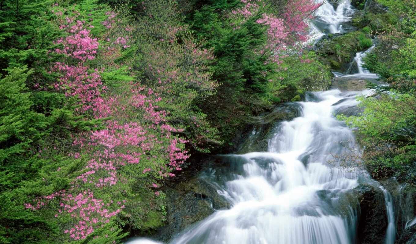 japanese, beautiful, waterfall