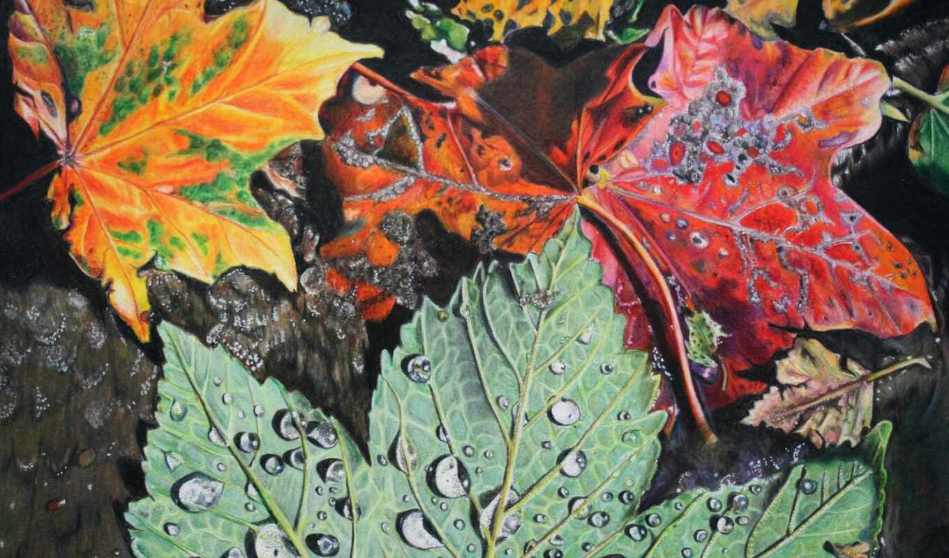 live, осень, color, leaf