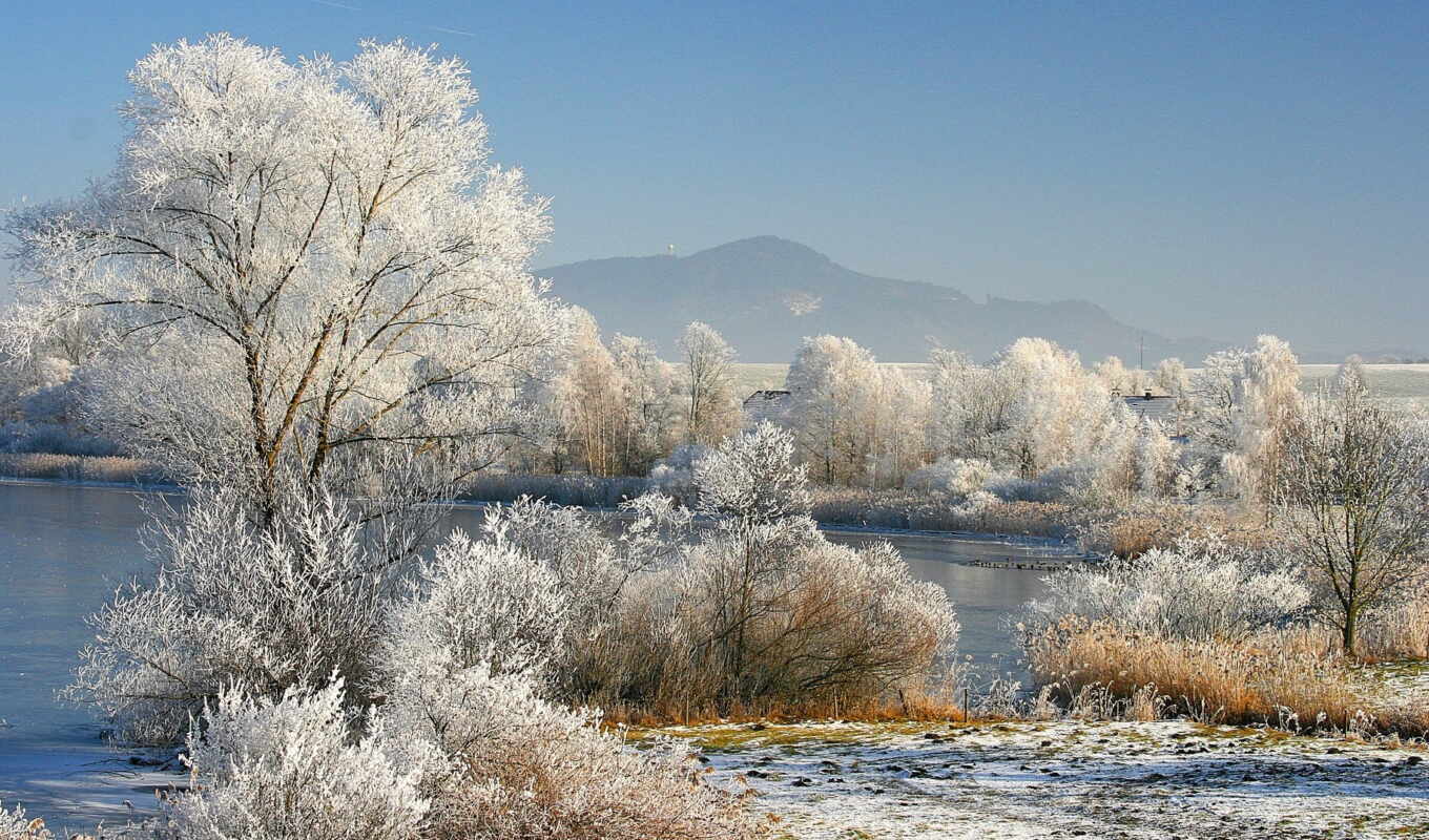 природа, фон, winter, pics, images, trees, scenery