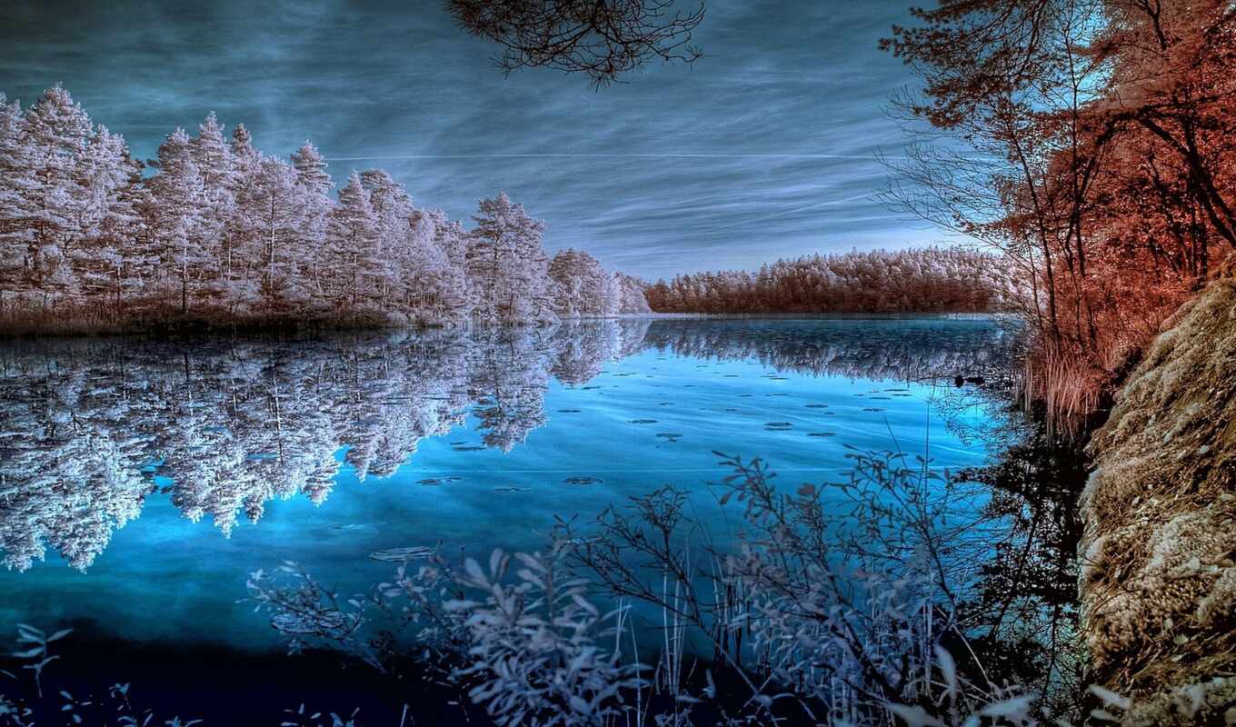 небо, синий, дерево, вода, зимний, отражение, холодный