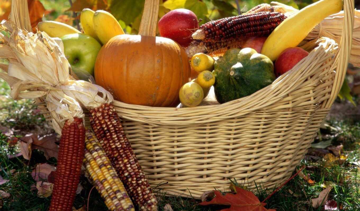 september, garden, calendar, season, dacha, kitchen-garden