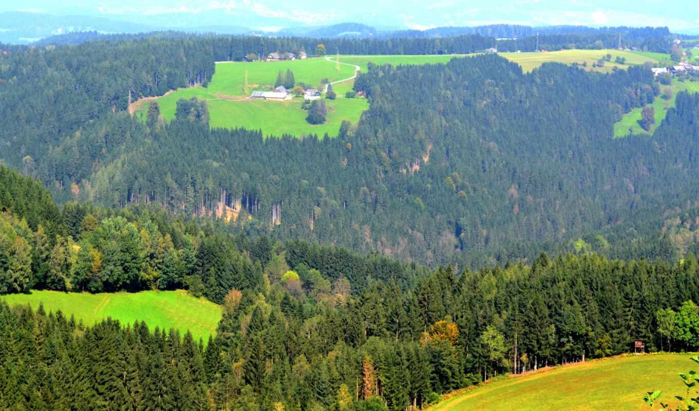 лес, гора, австрия, scenery, grassland
