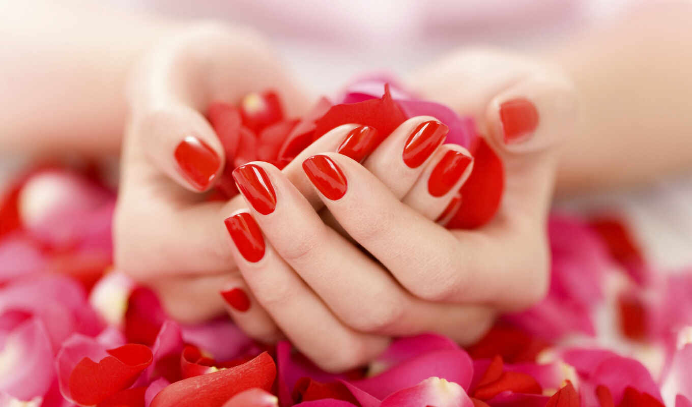 hands, red, petals, manicure, gently, lacquer