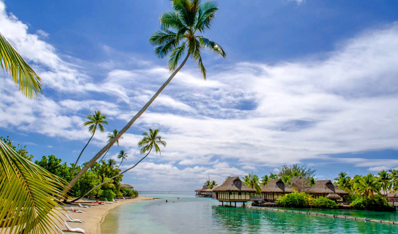 summer, beach, sea, palm trees, paradise, pallets, vacation, tropics, bungal