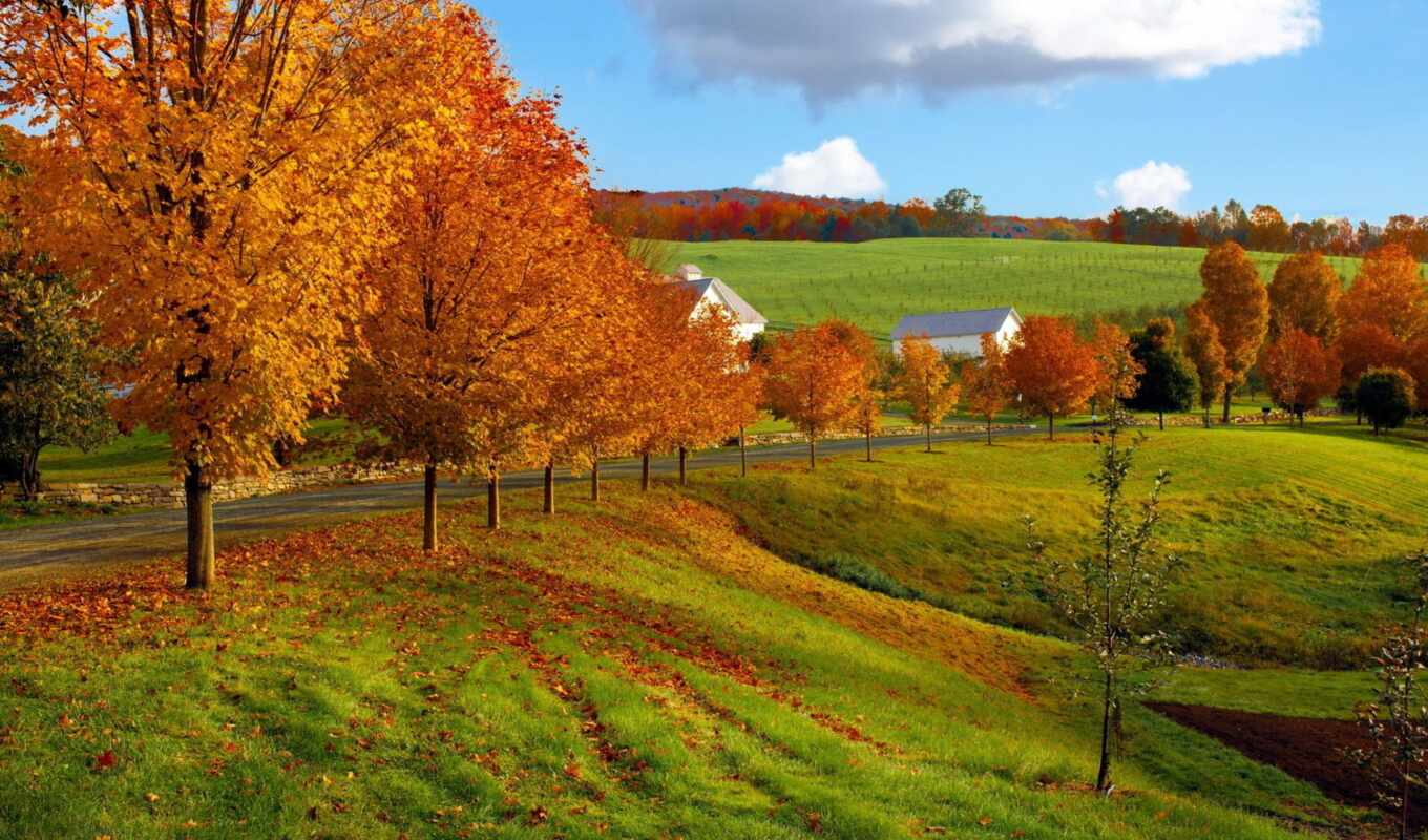 природа, небо, картинка, дерево, дорога, поле, осень