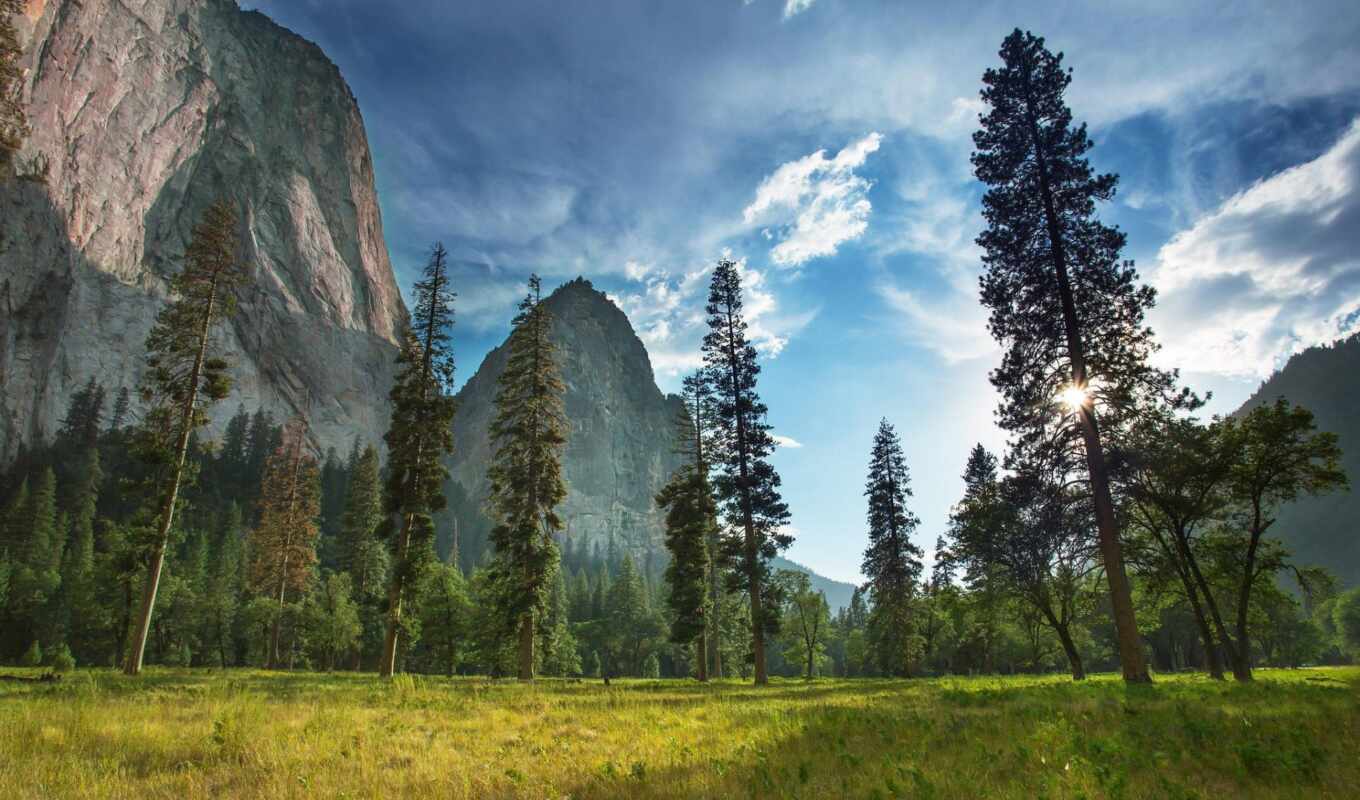 природа, гора, california, usa, one, park, trees, national, yosemite