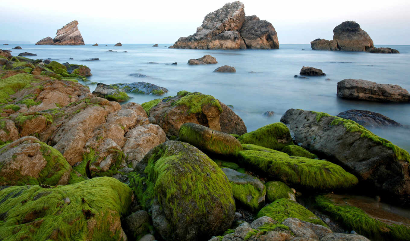 пейзажи -, free, water, rock, ocean, miscellaneous, камни, seaweed