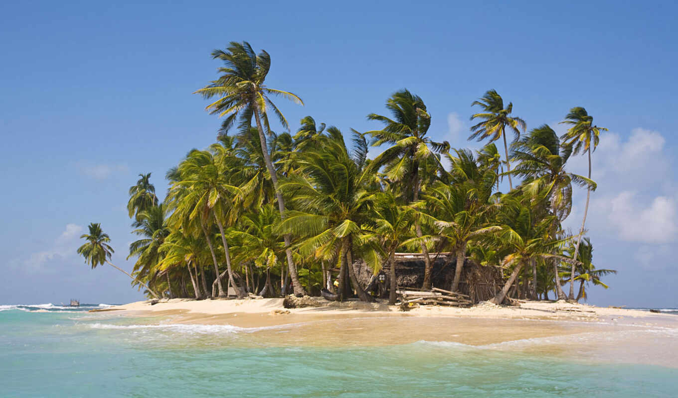 sand, palm trees, island, hut, palms