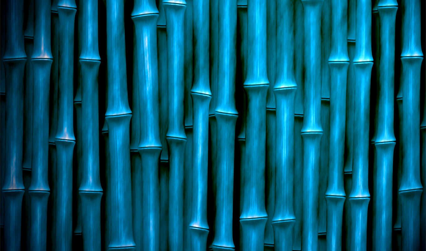 texture, tree, bamboo, vertical, sticks