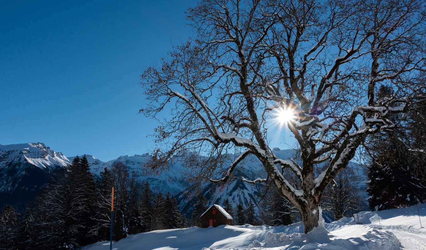 white, свет, снег, winter, гора, утро, альпы, ray, braunwald