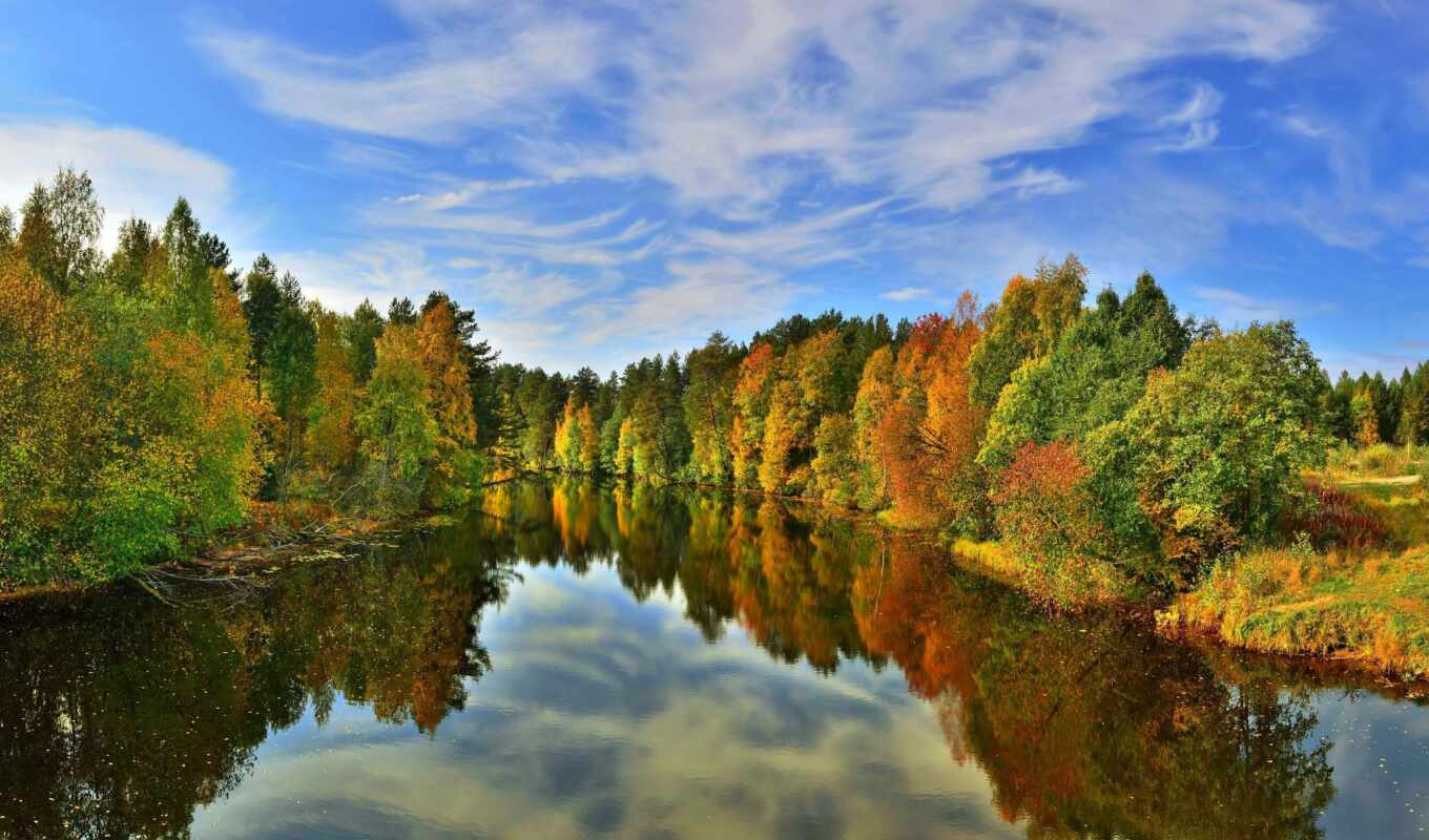 forest, mix, autumn, zone, karelia, umit, broadleaf, because, wikipediazolotoi, mobipeizazh