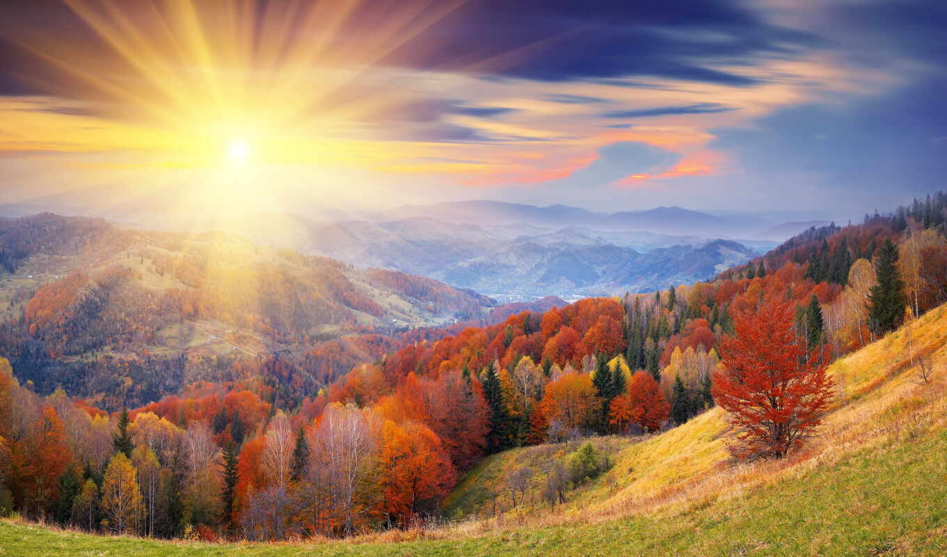 sky, sun, forest, autumn, forest, the wall, trees, suns, rays, order, photo wallpapers