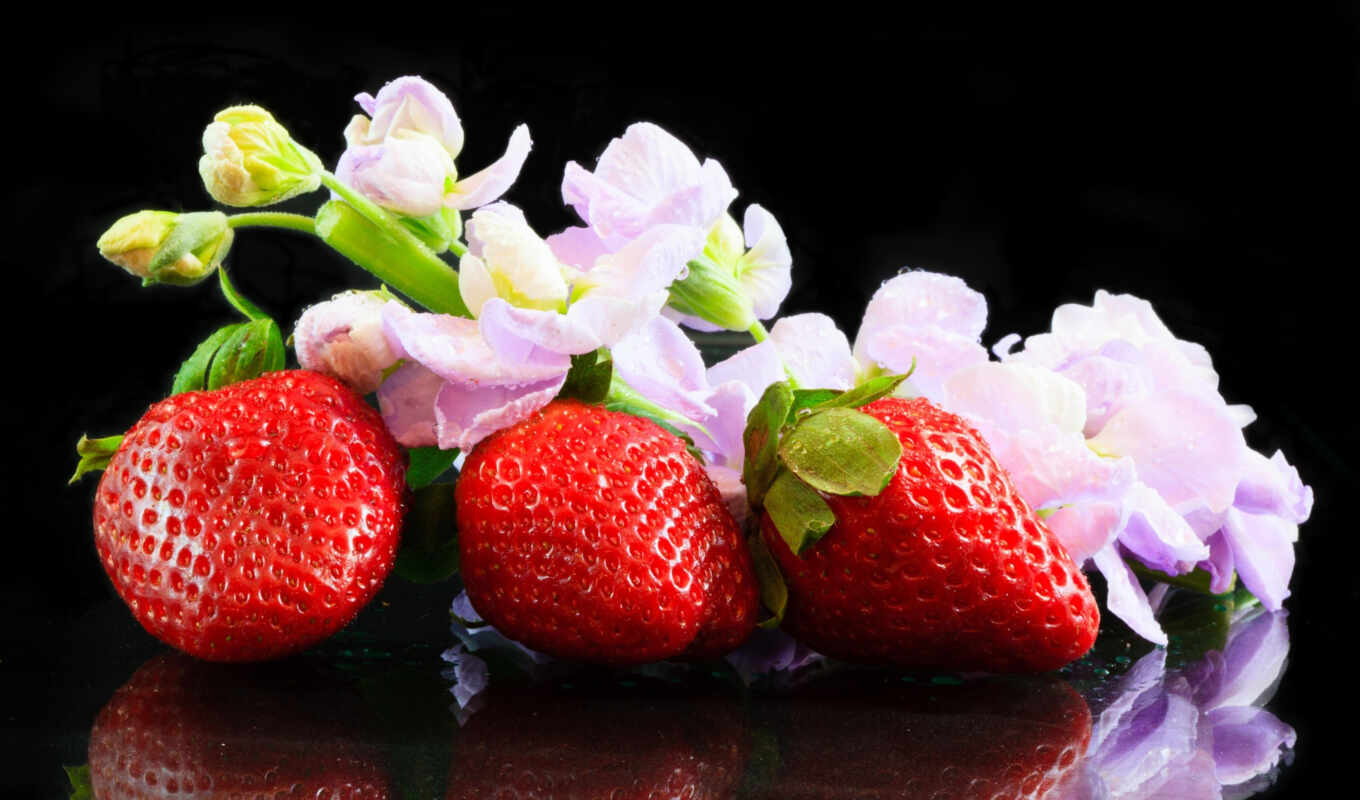 фото, con, foto, клубника, strawberries, imagen, mimosa, erdbeere, acerca