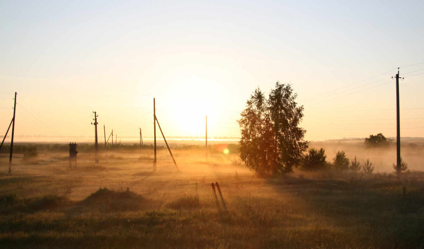 природа, дерево, russian, рассвет, поле, утро, туман