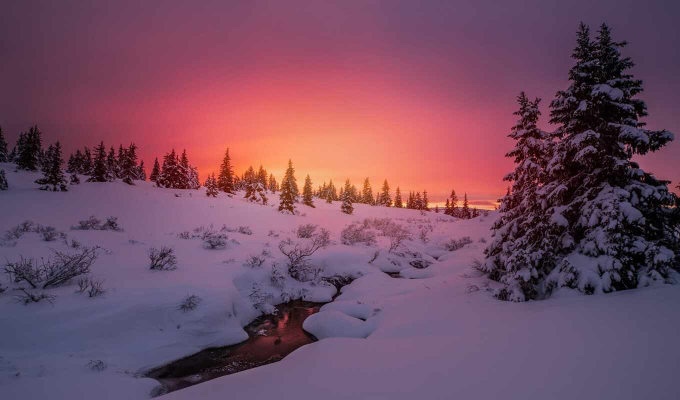 природа, небо, закат, fir, снег, winter, красивый, trees