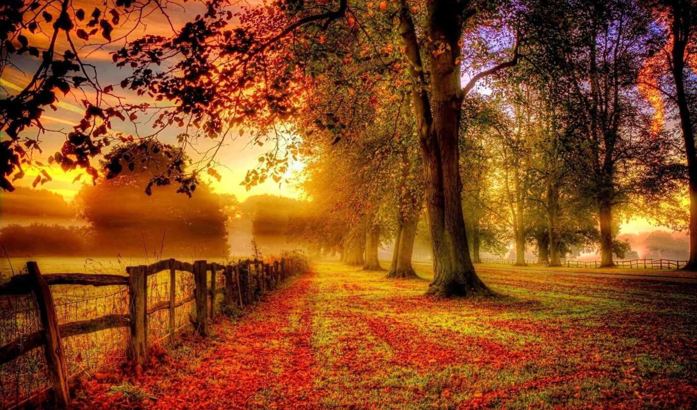 poems, autumn, beautiful