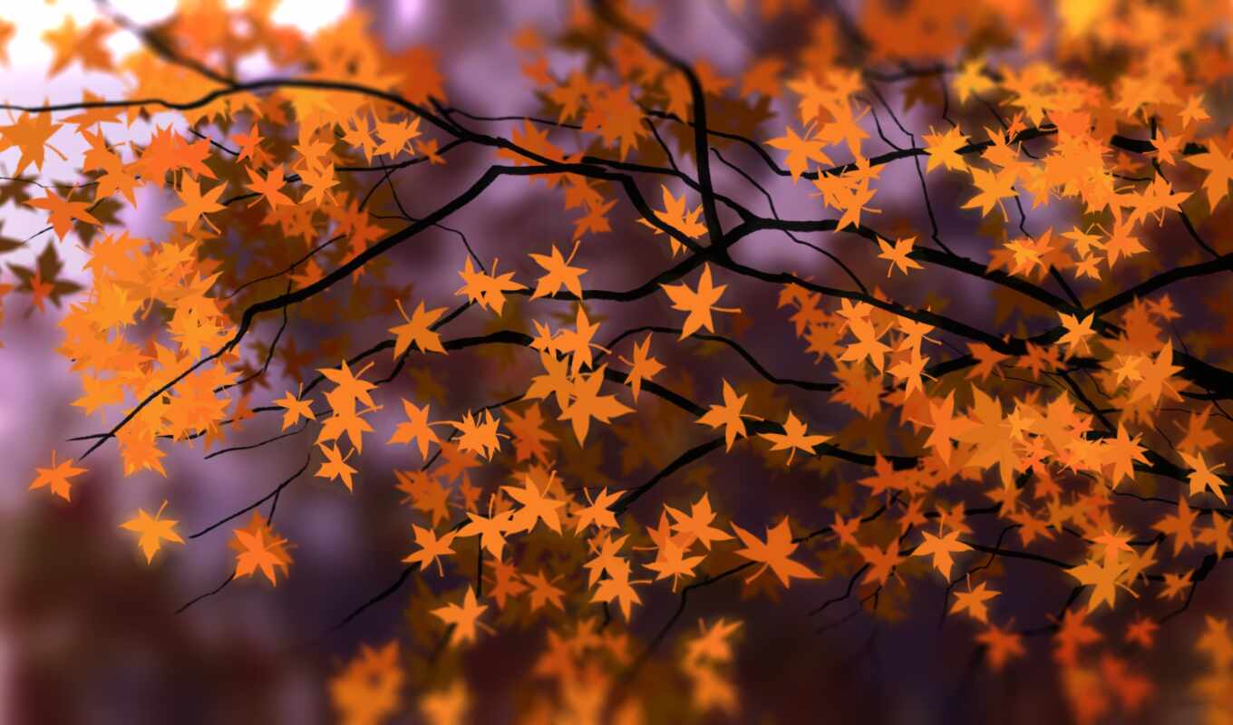 tree, autumn, maple, orange, leaf