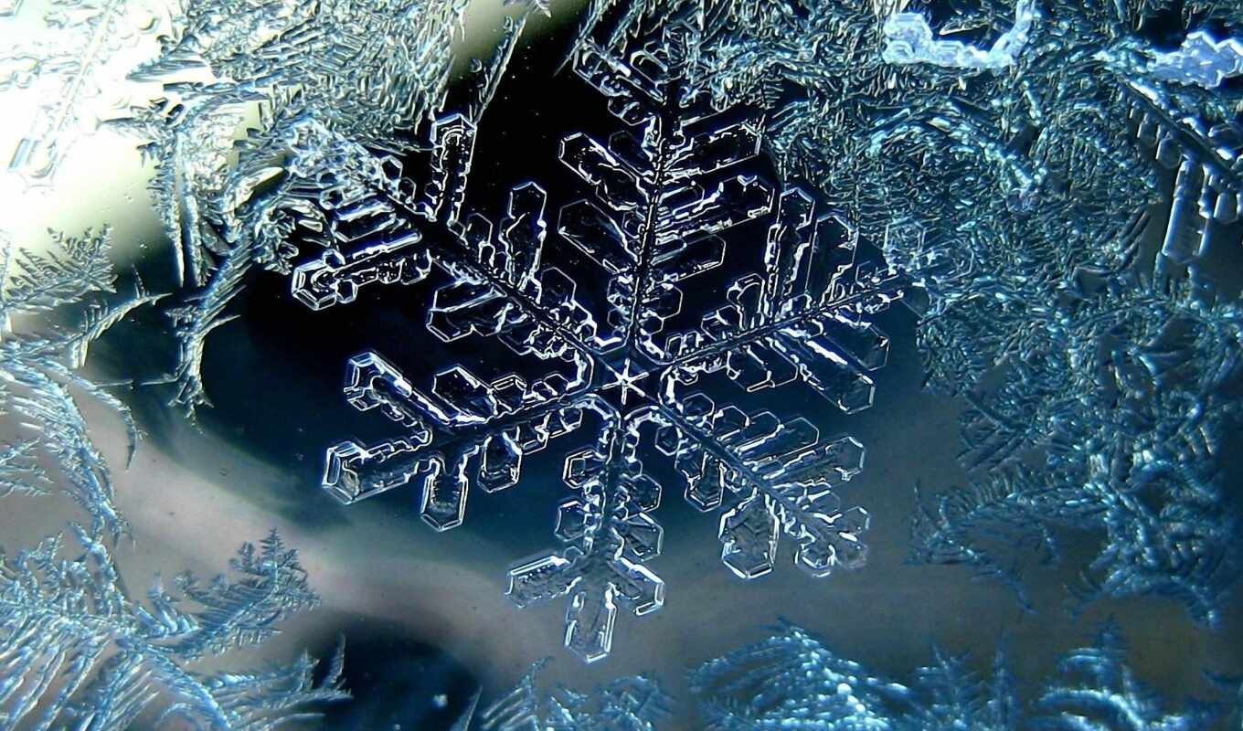 snowflakes, snow, beautiful, snowflake, papers, snowflakes