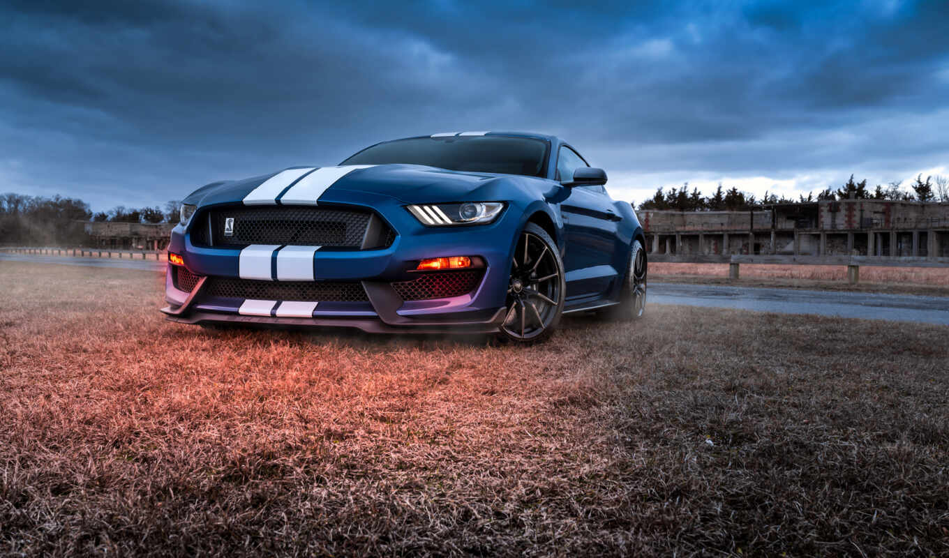 car, ford, mustang, день, shelby, preview, реактивный, vehicle, назад