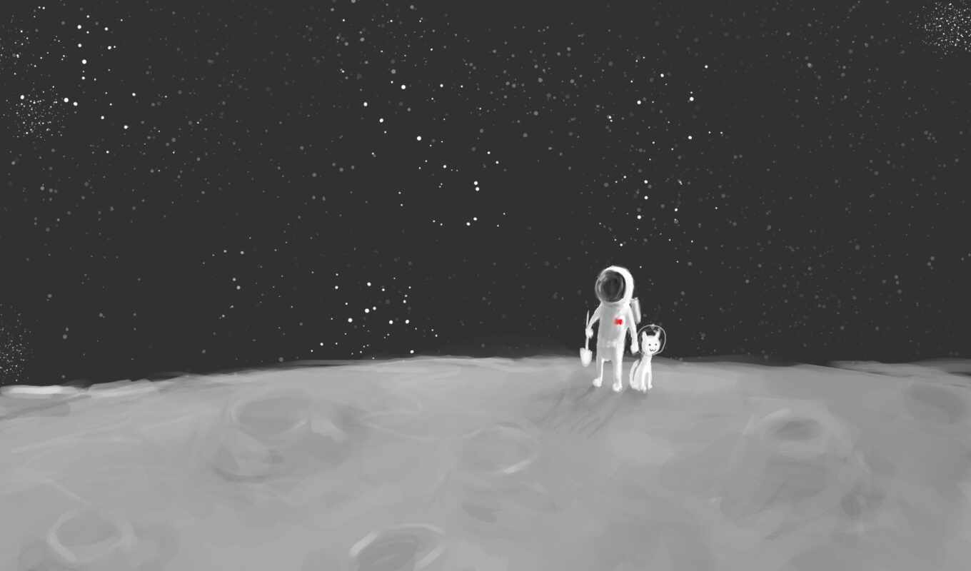фон, russian, ночь, луна, funny, star, космонавт, астронавт, лопата, spaceman, космический пес
