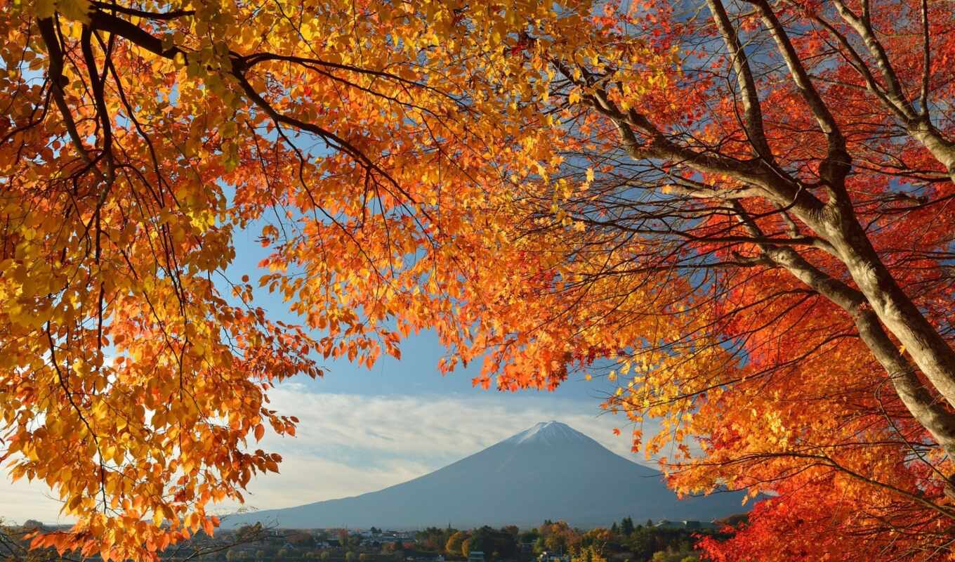 japanese, осень