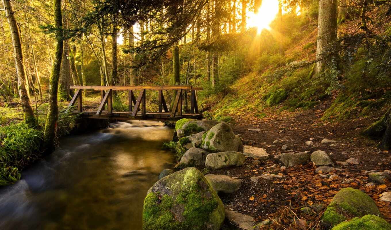 природа, лист, sun, дерево, камень, закат, лес, мост, ручей, trail