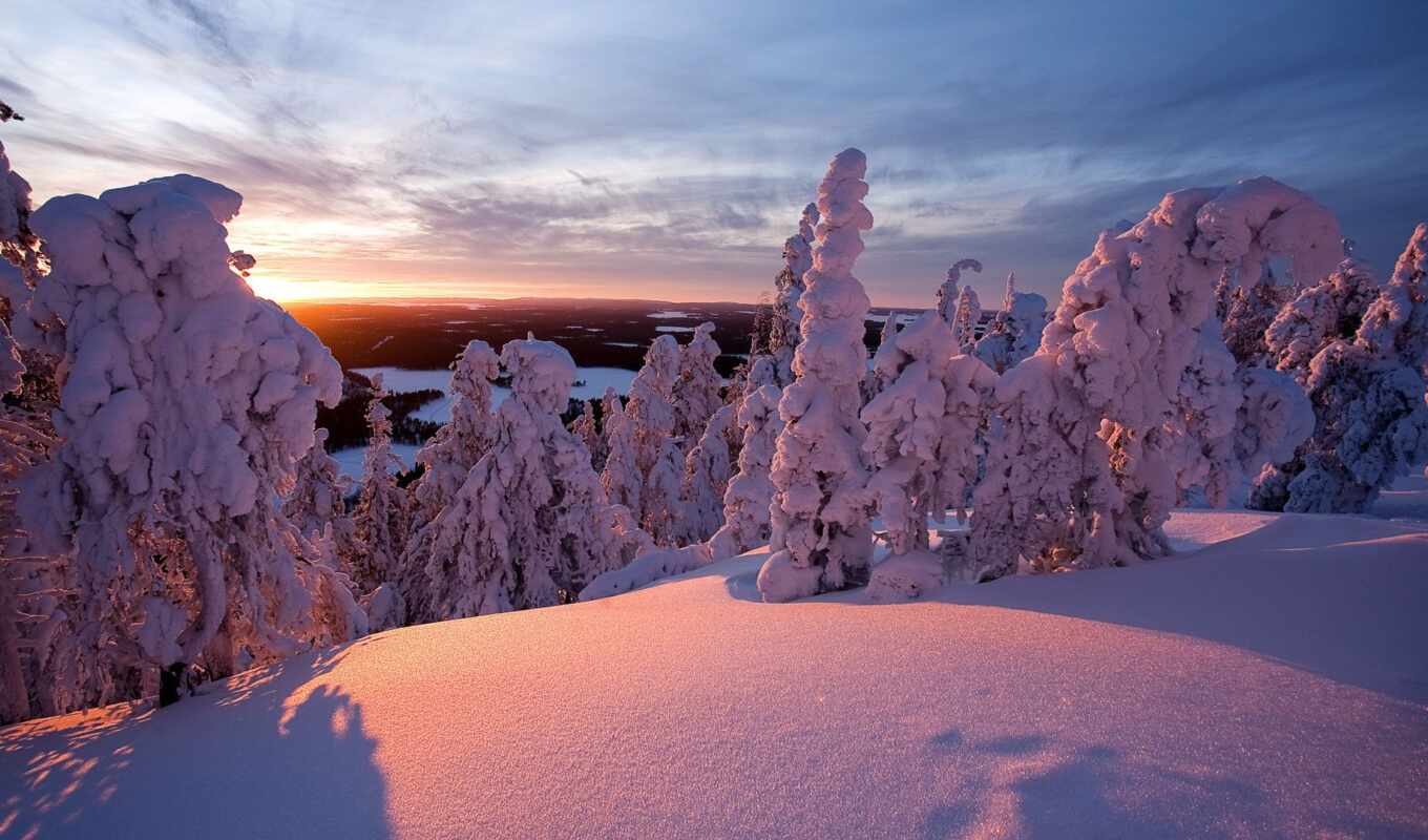 природа, пейзажи -, дерево, снег, рассвет, winter, утро, trees, зимние