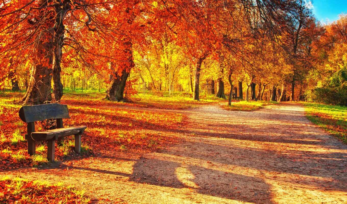 листья, осень, листва, park, trees, скамейка, parc, automne