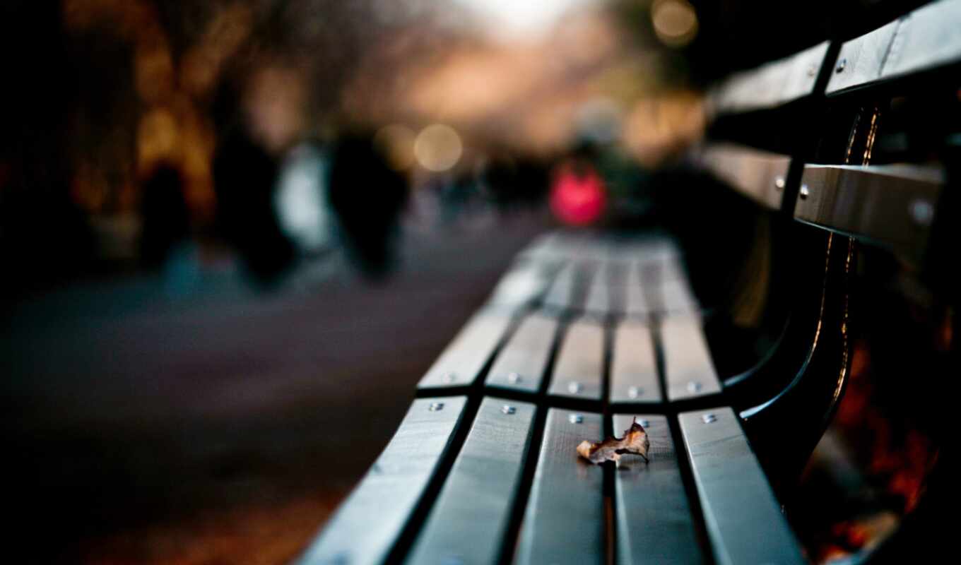 love, filter, bench, loneliness