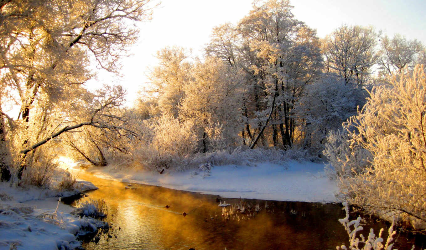 trees, sun, snow, winter, forest, river