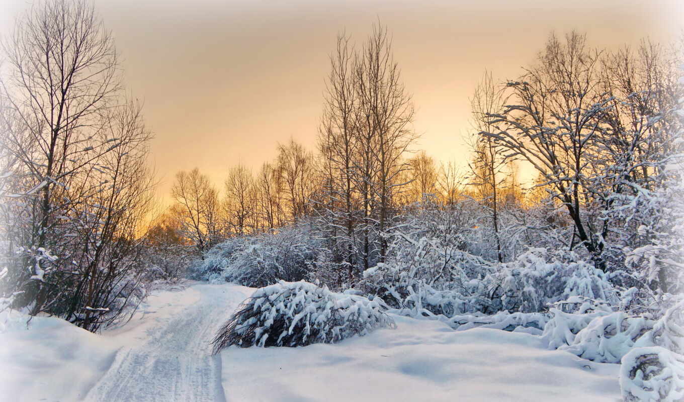 nature, sunset, snow, winter, road, evening, landscape, village, Moscow region
